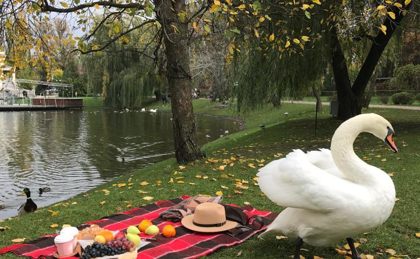 हँस चुगे जब दाना-दुनका, कवूआ मोती खाता है~ समकालीन सामाजिक परिस्थितियों पर आधारित एक आलोचनात्मक, कटाक्षपूर्ण व व्यंग्यात्मक&nbsp;कविता-गीत