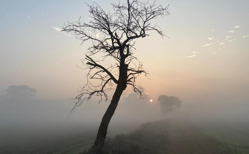 kundalini tantric yoga helped by sexual sublimation and seminal transmutation in Hindu mythological shiva purana~sex to samadhi-super&nbsp;consciousness