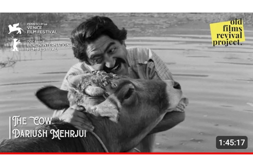 Kundalini Yoga can make understand the psychology of a cow lover named Hassan from the Iranian film Gaav or the&nbsp;Cow