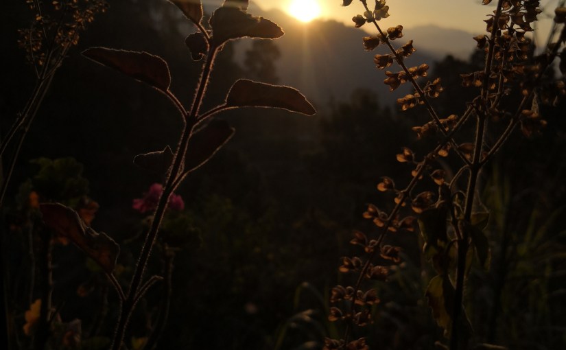 कुंडलिनीयोग अतिरिक्त तांत्रिक शक्ति का उपभोग करता&nbsp;है