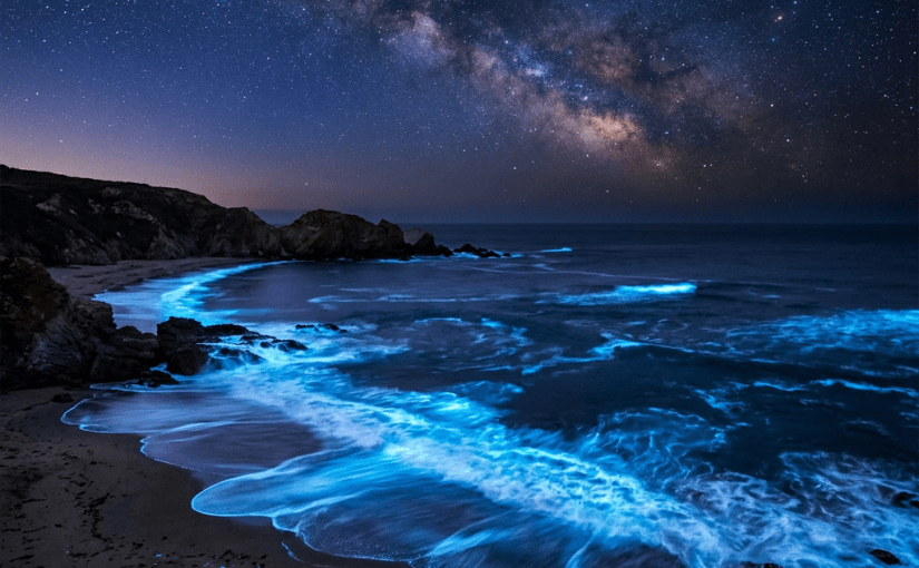Bioluminescent sea waves glowing bright blue on a dark rocky beach under a clear star-filled night sky with the Milky Way visible.